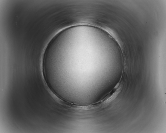 X0000088491438200706121541