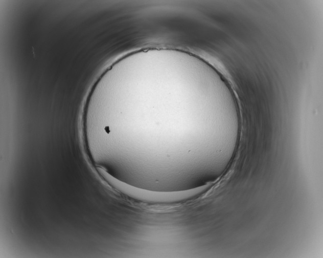 X0000088491440200706121541