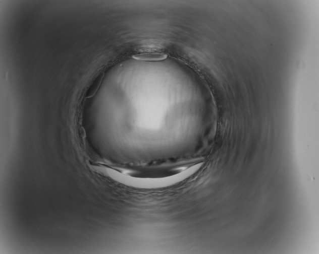 X0000088491441200706121540