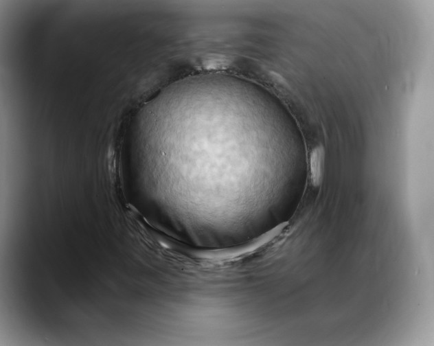 X0000088491443200706121540