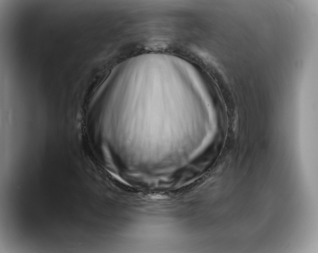 X0000088491445200706121540