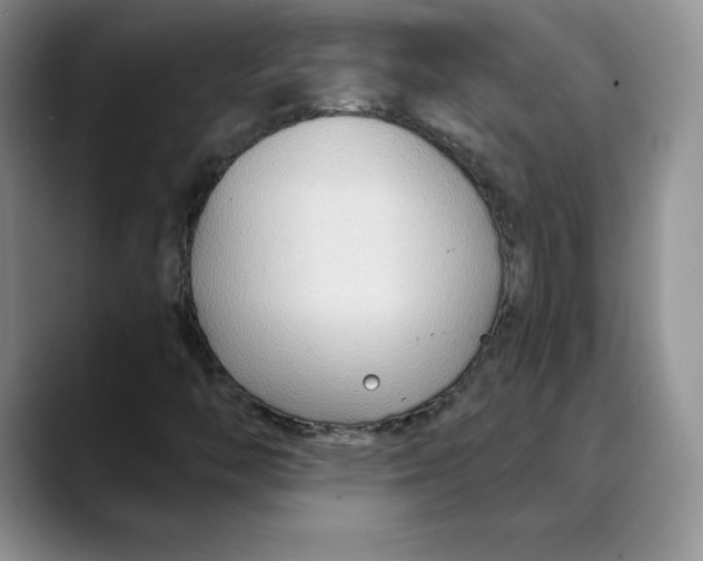 X0000088491446200706121540