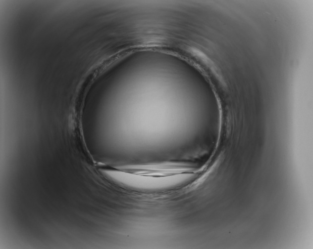 X0000088491449200706121540