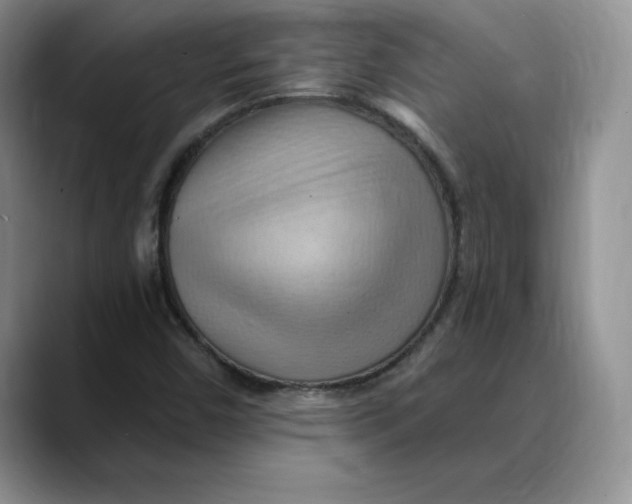 X0000088491450200706121540