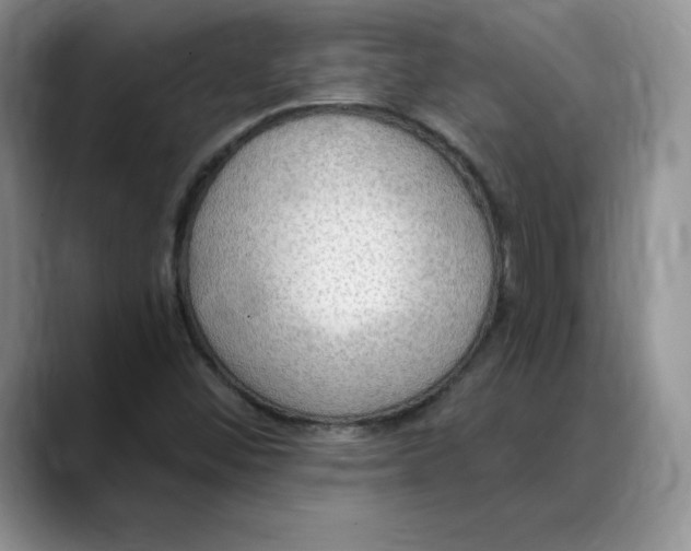 X0000088491452200706121540