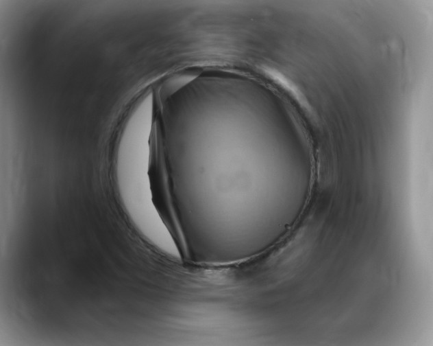 X0000088491453200706121540