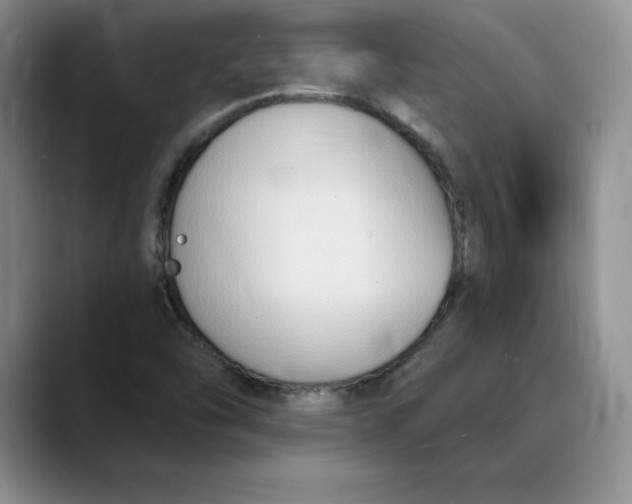 X0000088491454200706121540