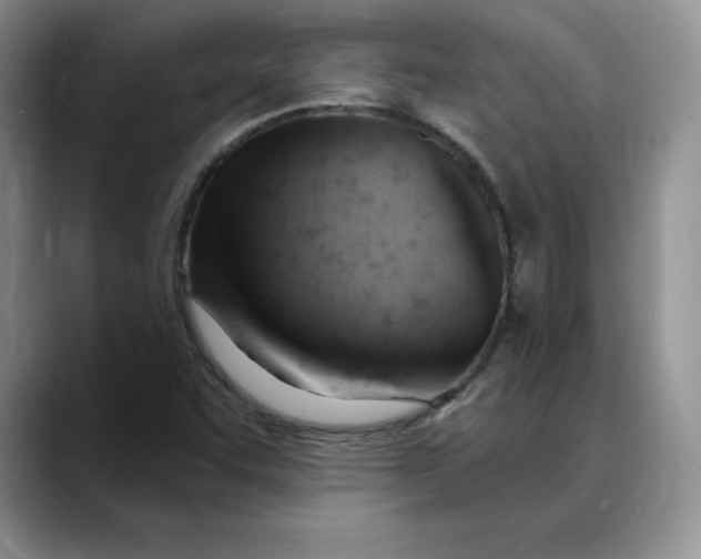 X0000088491455200706121540