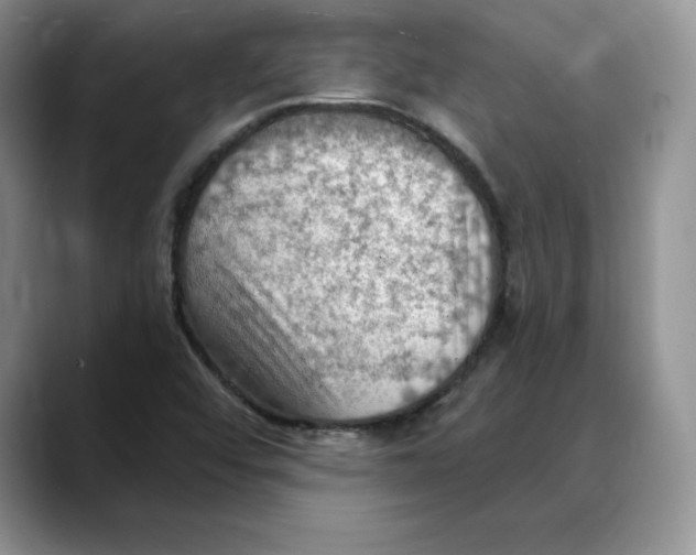 X0000088491456200706121540