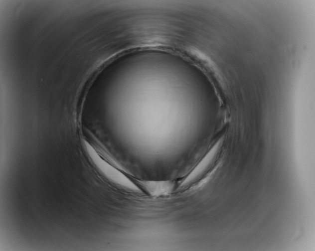 X0000088491457200706121540