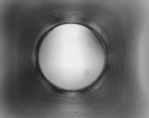 X0000088491458200706121540