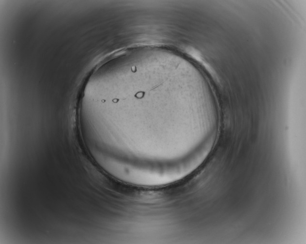 X0000088491459200706121540