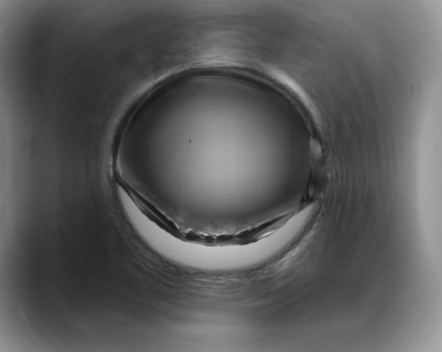 X0000088491461200706121540