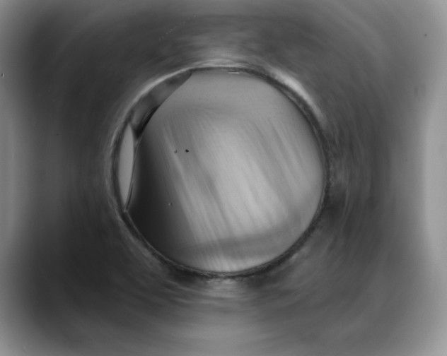 X0000088491463200706121540