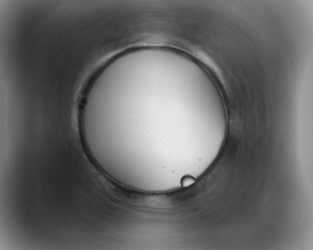 X0000088491464200706121540