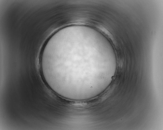 X0000088491466200706121540