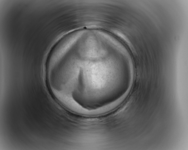 X0000088491467200706121540