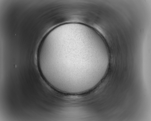 X0000088491468200706121540