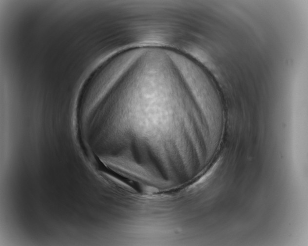 X0000088491469200706121540