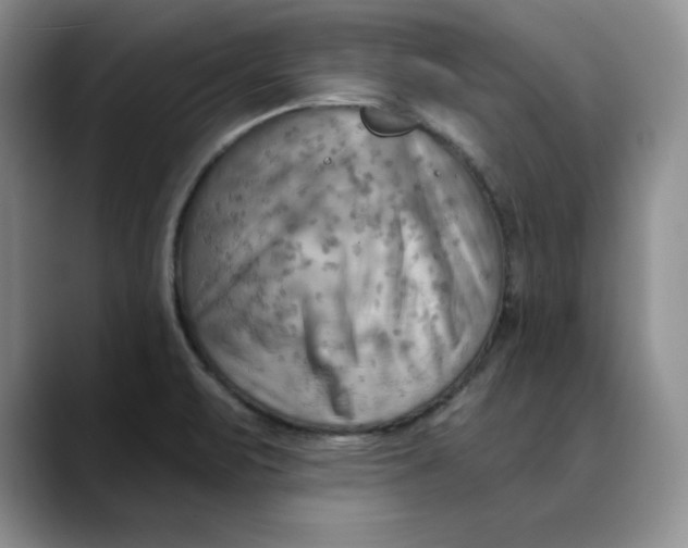 X0000088491471200706121540