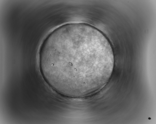 X0000088491472200706121540