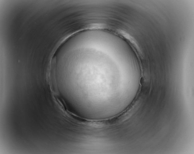 X0000088491473200706121540