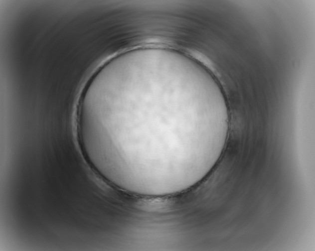 X0000088491474200706121540