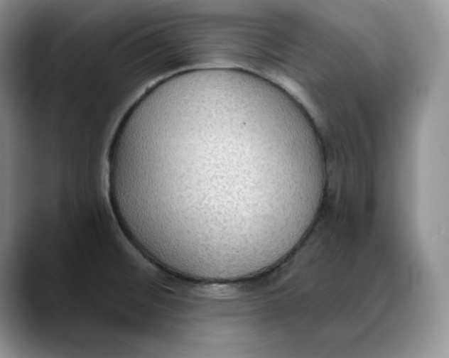 X0000088491476200706121540