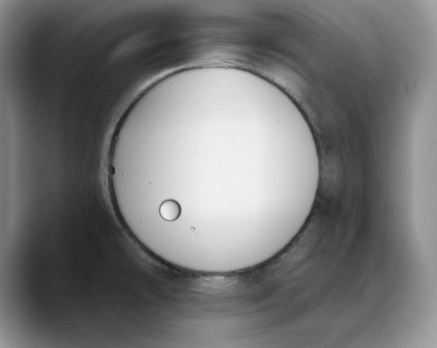 X0000088491478200706121540