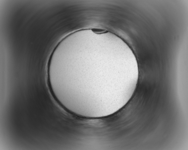 X0000088491479200706121540