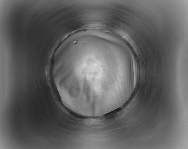 X0000088491481200706121540