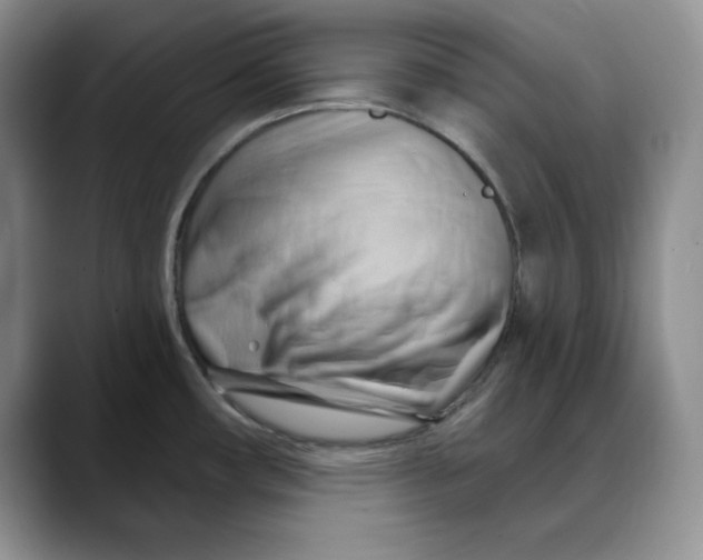 X0000088491482200706121540