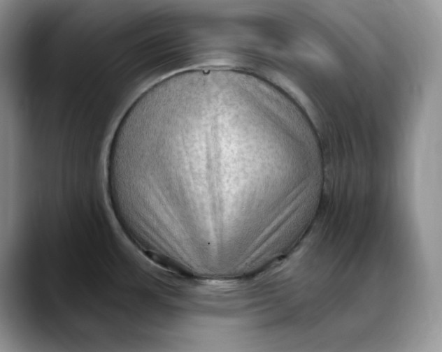 X0000088491483200706121540