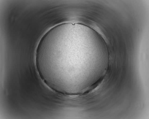 X0000088491484200706121540