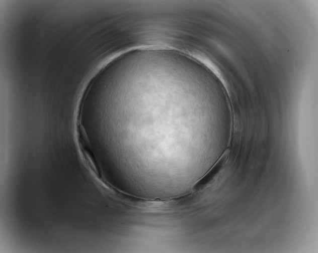 X0000088491485200706121540