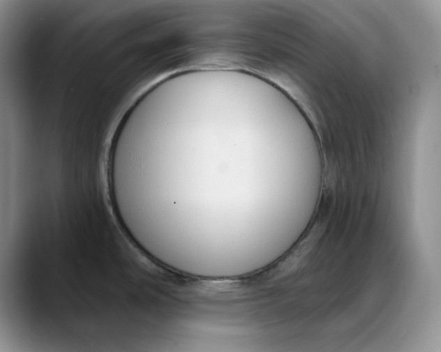 X0000088491486200706121540