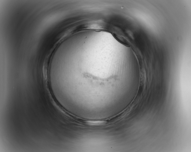 X0000088491487200706121540