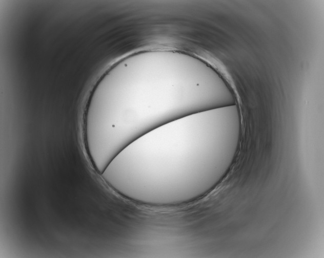 X0000088491488200706121540