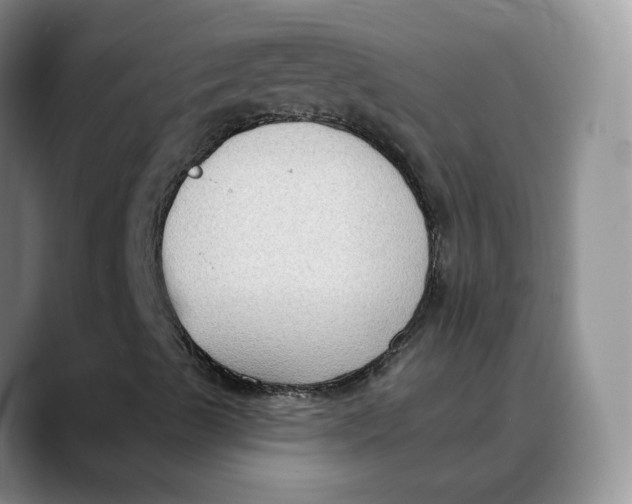 X0000088491489200706121539