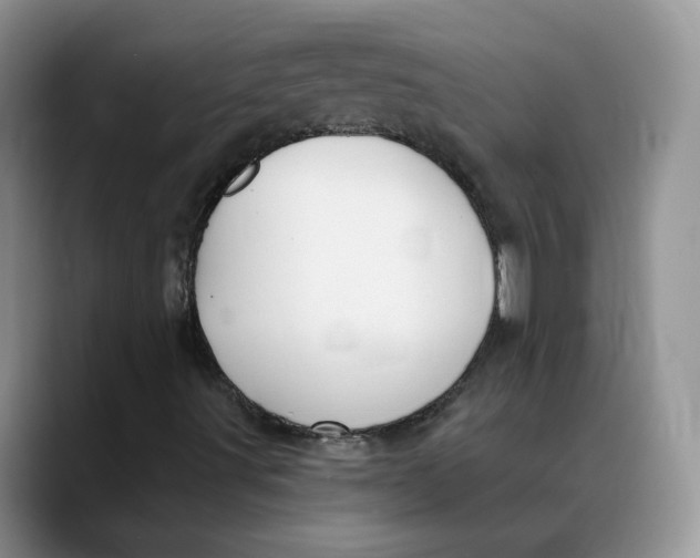 X0000088491491200706121539