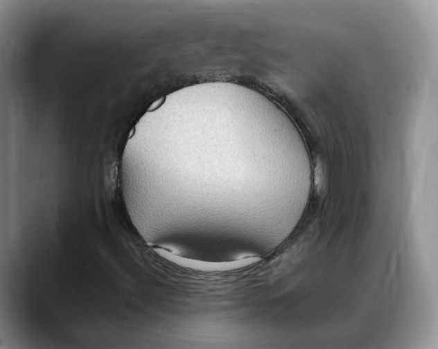 X0000088491492200706121539