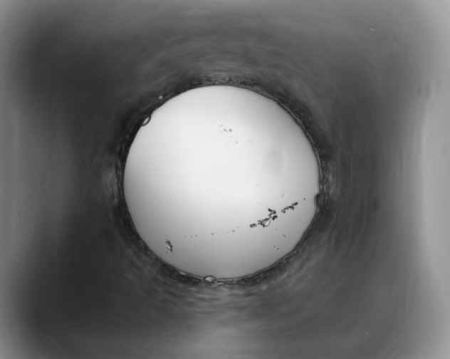 X0000088491493200706121539