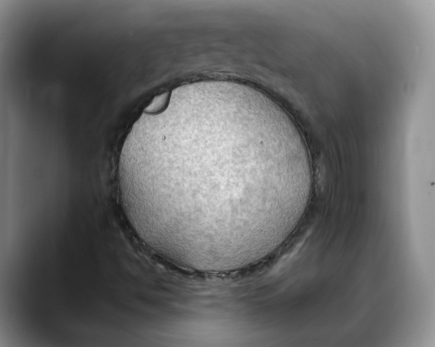 X0000088491494200706121539