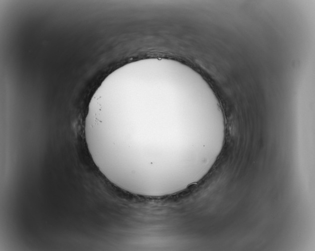 X0000088491495200706121539