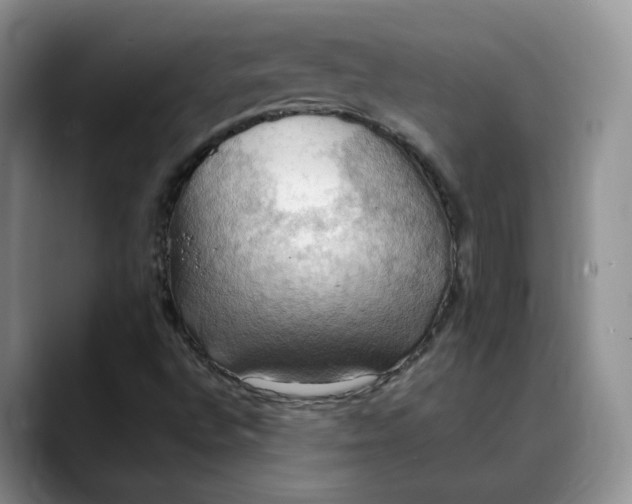 X0000088491496200706121539