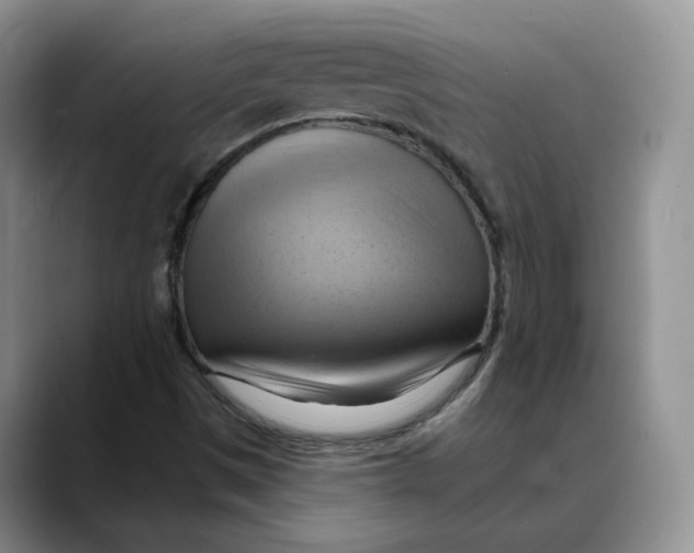 X0000088491497200706121539