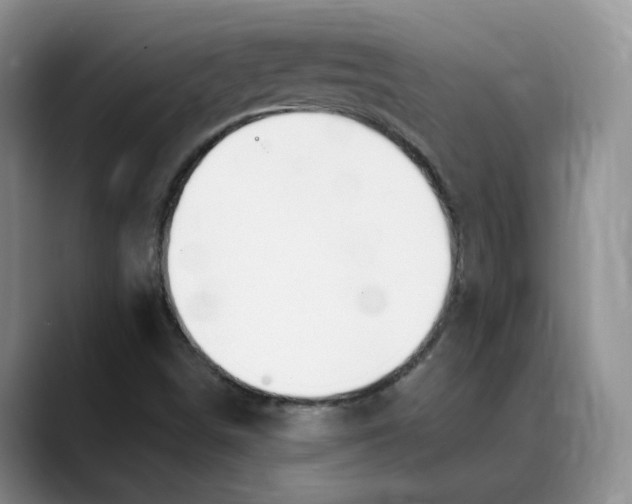 X0000088491498200706121539