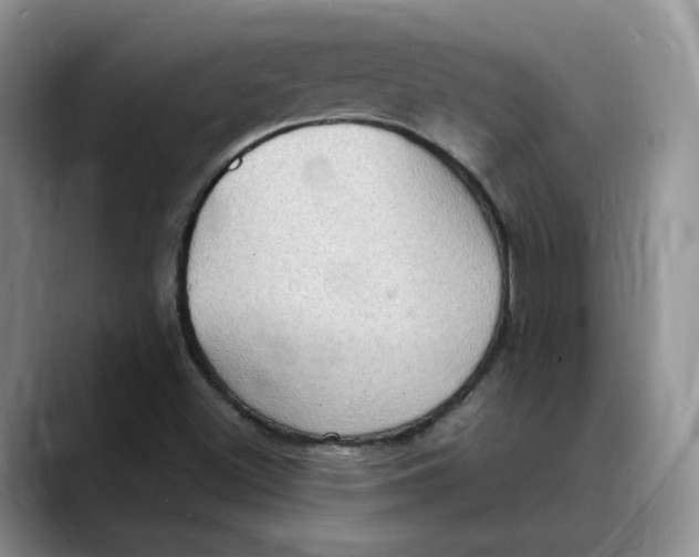 X0000088491500200706121539