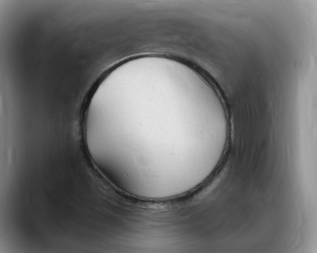 X0000088491501200706121539