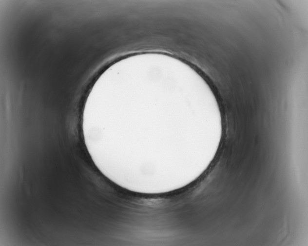 X0000088491502200706121539